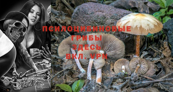 прущий лед Михайловск