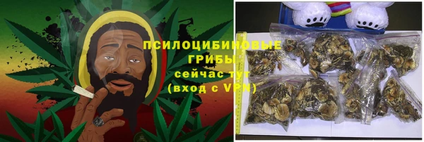 твердый Надым