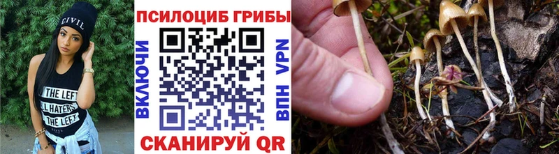 Галлюциногенные грибы Magic Shrooms mega ТОР Киров