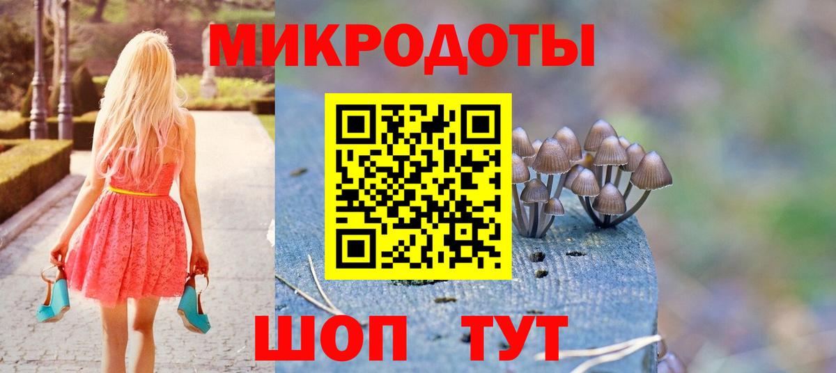Псилоцибиновые грибы мицелий Киров